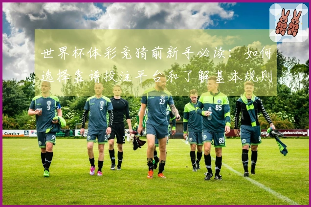 世界杯体彩竞猜前新手必读：如何选择靠谱投注平台和了解基本规则