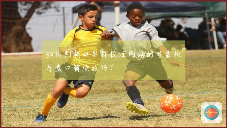 如何判断世界杯投注网站的可靠性与盘口解读技巧?