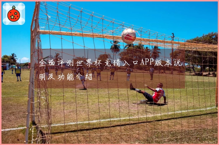 全面评测世界杯竞猜入口APP版本说明及功能介绍