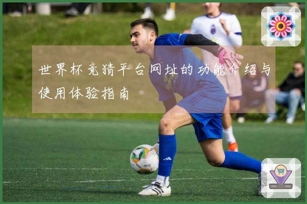 世界杯竞猜平台网址的功能介绍与使用体验指南