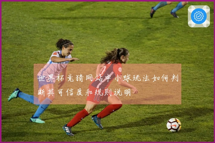 世界杯竞猜网站中小球玩法如何判断其可信度和规则说明