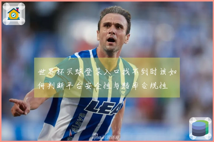 世界杯买球登录入口找不到时该如何判断平台安全性与赔率合规性