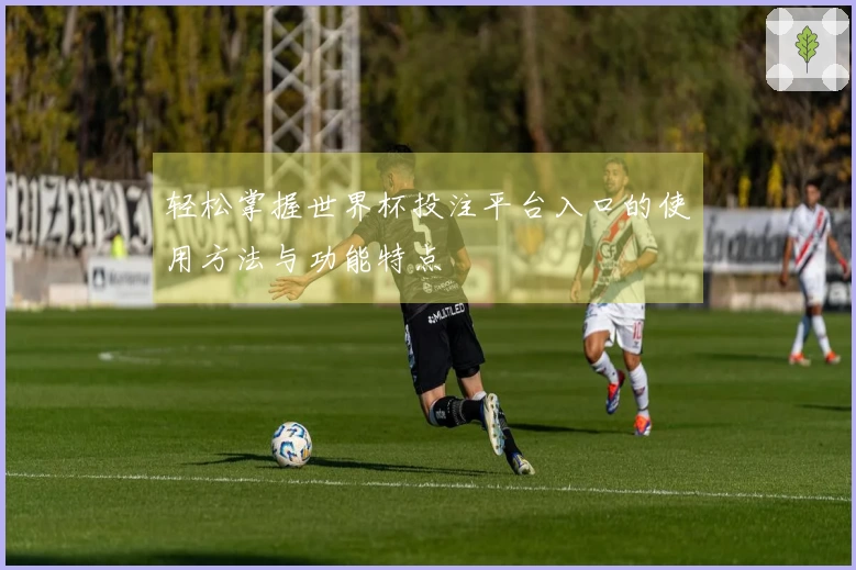 轻松掌握世界杯投注平台入口的使用方法与功能特点