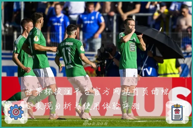 世界杯投注平台官方网站首页的综合表现分析与使用体验评测