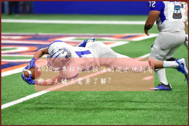 2026世界杯官方投注的返水规则有哪些关键点需要了解？
