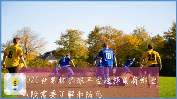 2026世界杯买球平台选择前有哪些风险需要了解和防范