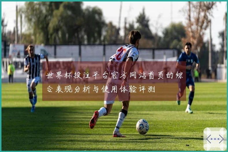 世界杯投注平台官方网站首页的综合表现分析与使用体验评测