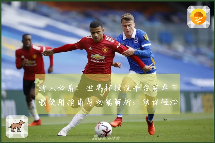 新人必看：世界杯投注平台安卓下载使用指南与功能解析，助你轻松享受直播体验