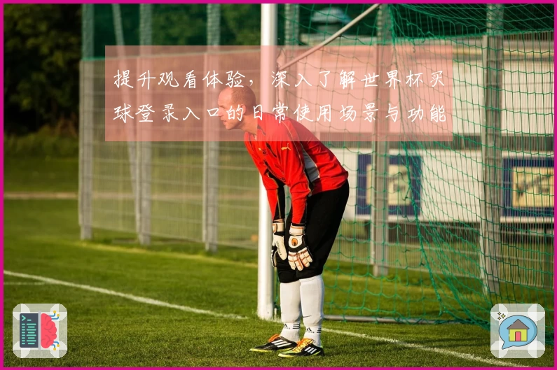 提升观看体验，深入了解世界杯买球登录入口的日常使用场景与功能介绍