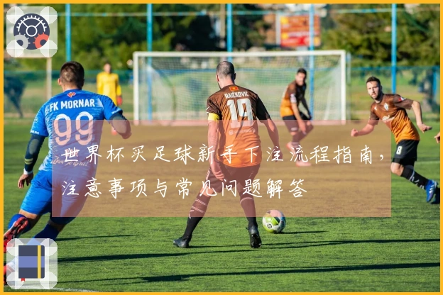 世界杯买足球新手下注流程指南，注意事项与常见问题解答