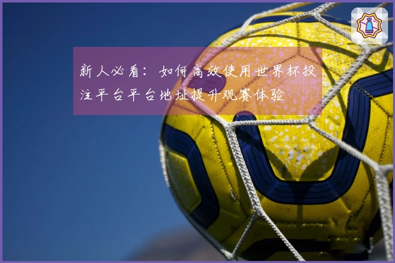 新人必看：如何高效使用世界杯投注平台平台地址提升观赛体验