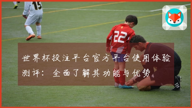 世界杯投注平台官方平台使用体验测评：全面了解其功能与优势
