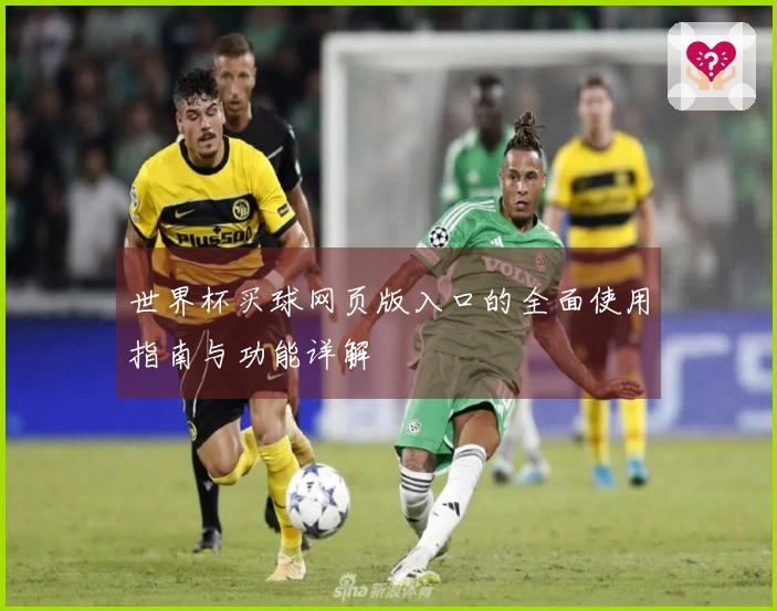 世界杯买球网页版入口的全面使用指南与功能详解