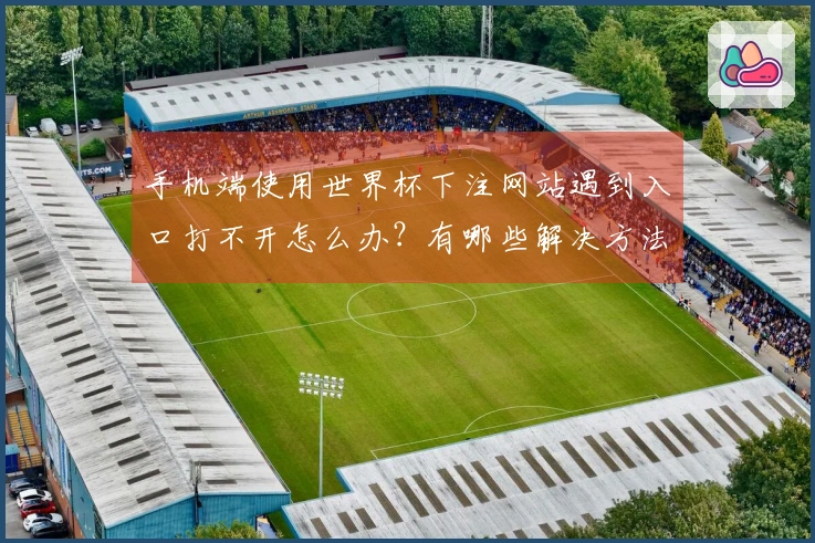 手机端使用世界杯下注网站遇到入口打不开怎么办?有哪些解决方法和注意事项