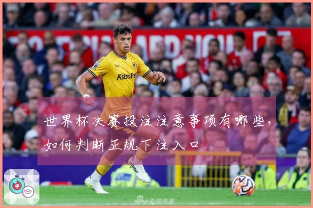 世界杯决赛投注注意事项有哪些，如何判断正规下注入口