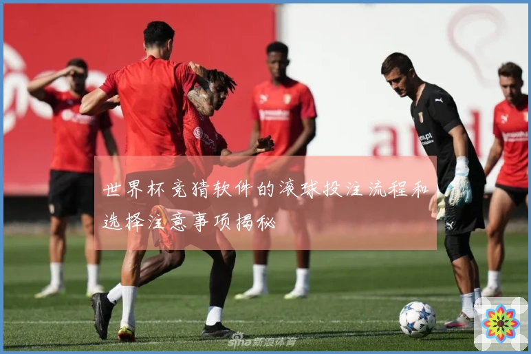 世界杯竞猜软件的滚球投注流程和选择注意事项揭秘