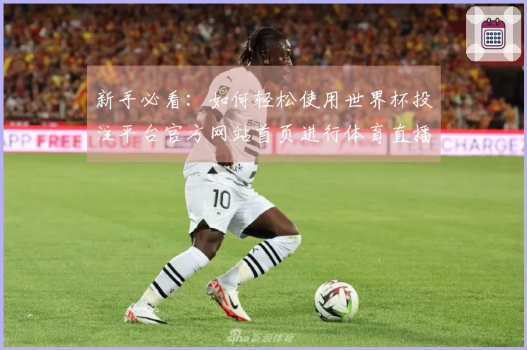 新手必看：如何轻松使用世界杯投注平台官方网站首页进行体育直播体验