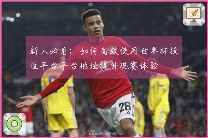 新人必看：如何高效使用世界杯投注平台平台地址提升观赛体验