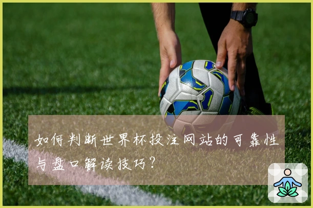 如何判断世界杯投注网站的可靠性与盘口解读技巧？
