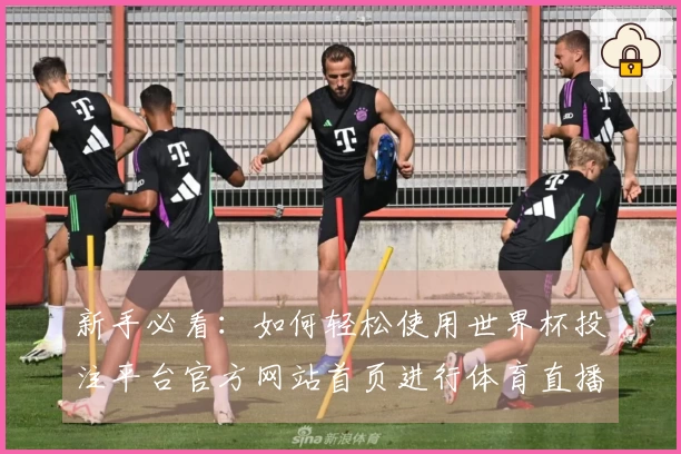新手必看：如何轻松使用世界杯投注平台官方网站首页进行体育直播体验