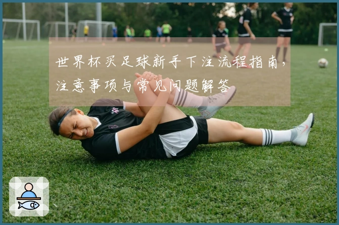 世界杯买足球新手下注流程指南，注意事项与常见问题解答