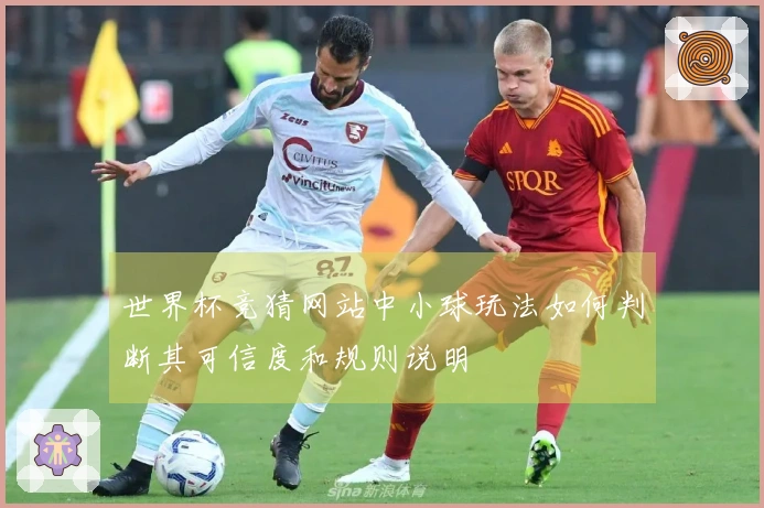 世界杯竞猜网站中小球玩法如何判断其可信度和规则说明